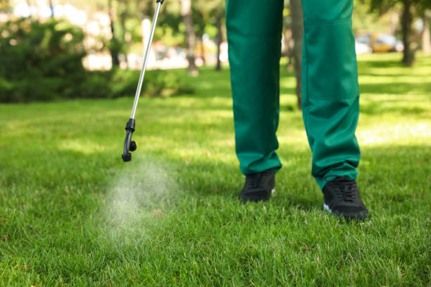 Best Affordable Pest Control Services  in Streetsboro, OH