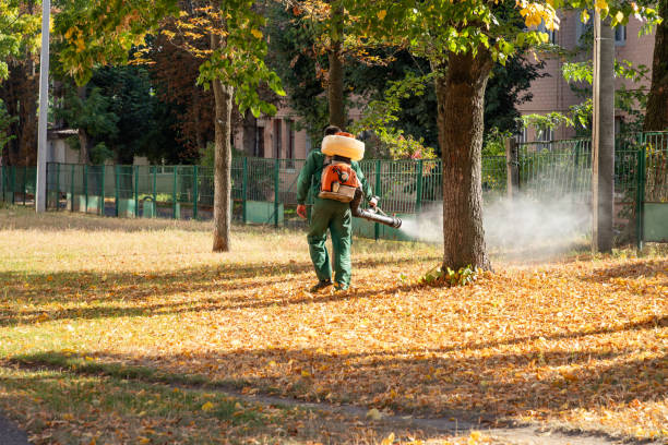 Pest Control Cost in Streetsboro, OH