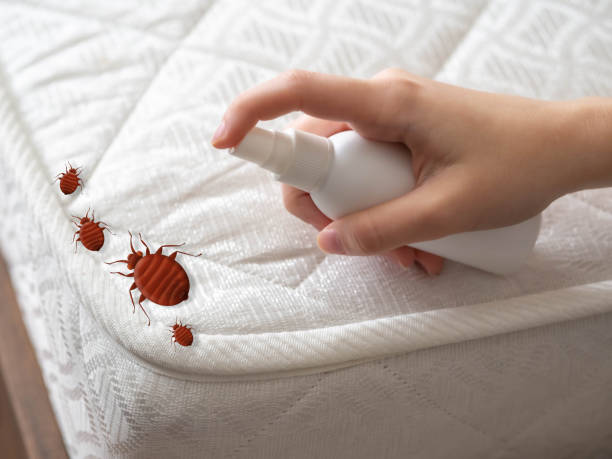 Best Pest Control for Restaurants  in Streetsboro, OH